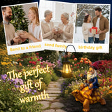 Wlcbomuoe Garden Gnome Decoration, Funny Resin Solar Gnome Statue for Lawn Patio Yard Outdoor Decor, Turtle Riding Gnome Figurine with Lantern, Gift for Women and Men (Gnome-F)