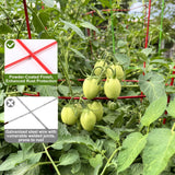 Colingmill 8 Pack Tomato Cages 39 Inch (H) Heavy Duty Square Tomato Cages Powder Coated Steel Plants Support Garden Trellis Stakes for Cucumber, Peas, Vegetables Climbing Plants