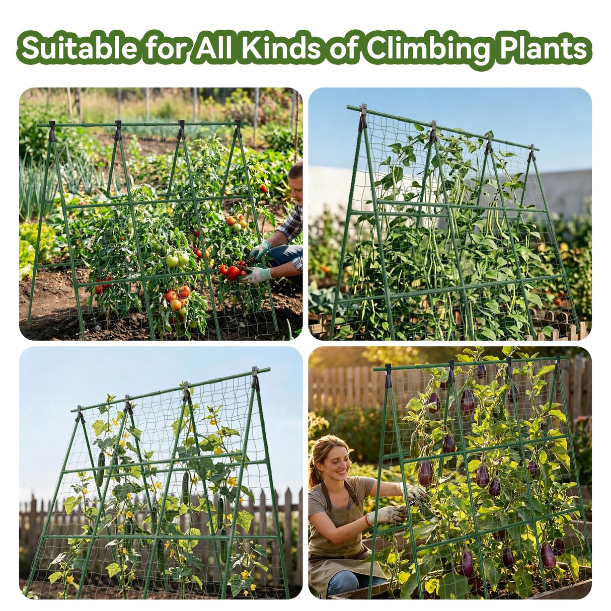 2 Pack Cucumber Trellis, 49.6"×49.6" Garden Trellis for Climbing Plants Outdoor, A-Frame Vegetable Trellis for Raised Bed, Support for Tomatoes, Squash, Zucchini, Vegetables