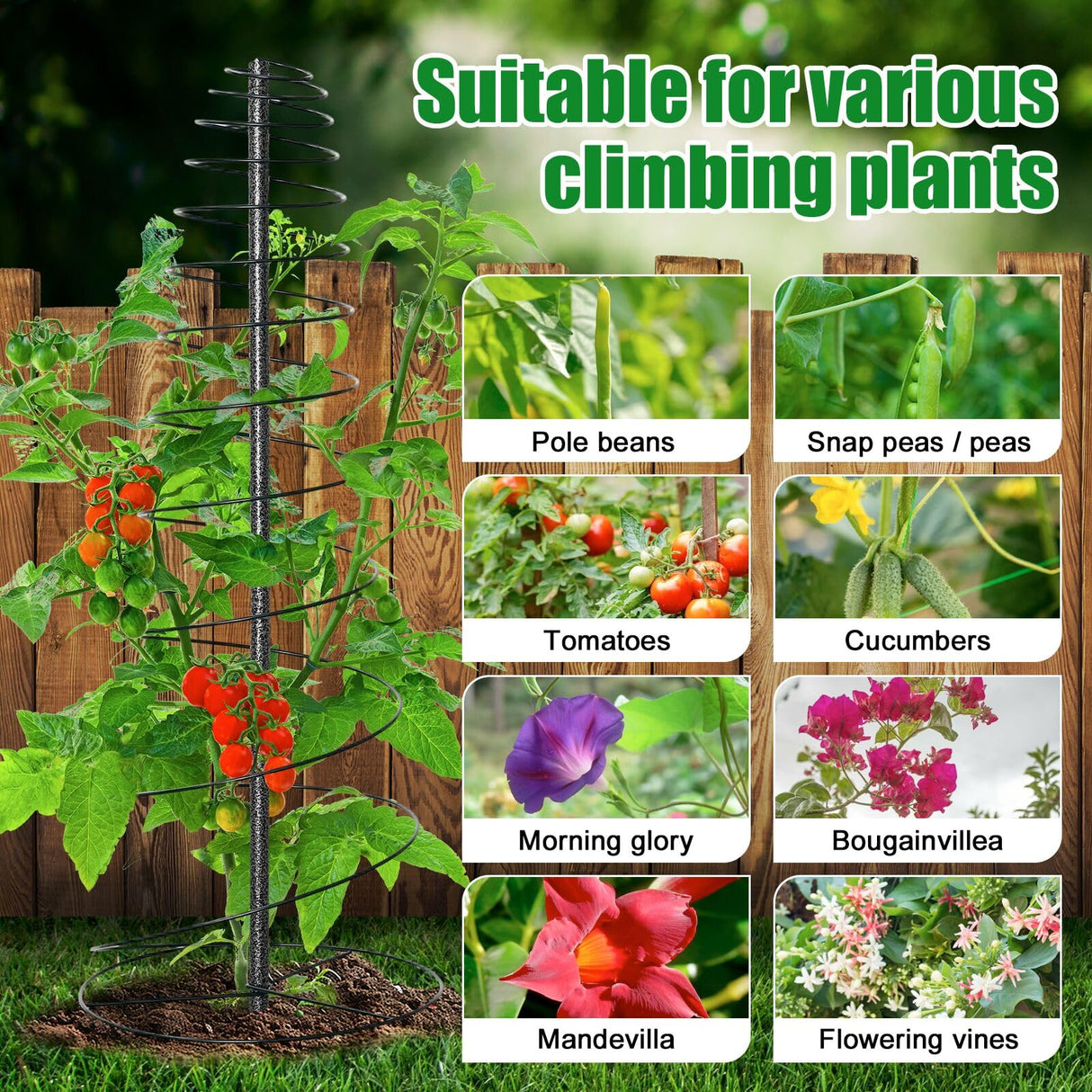 2 Pack Spiral Metal Garden Trellis for Climbing Plants Outdoor - 72" Large Heavy Duty Plant Support Tower with Center Pole, for Outdoor Garden, Raised Bed,Backyard,Container Gardening