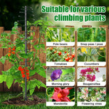 2 Pack Spiral Metal Garden Trellis for Climbing Plants Outdoor - 72" Large Heavy Duty Plant Support Tower with Center Pole, for Outdoor Garden, Raised Bed,Backyard,Container Gardening