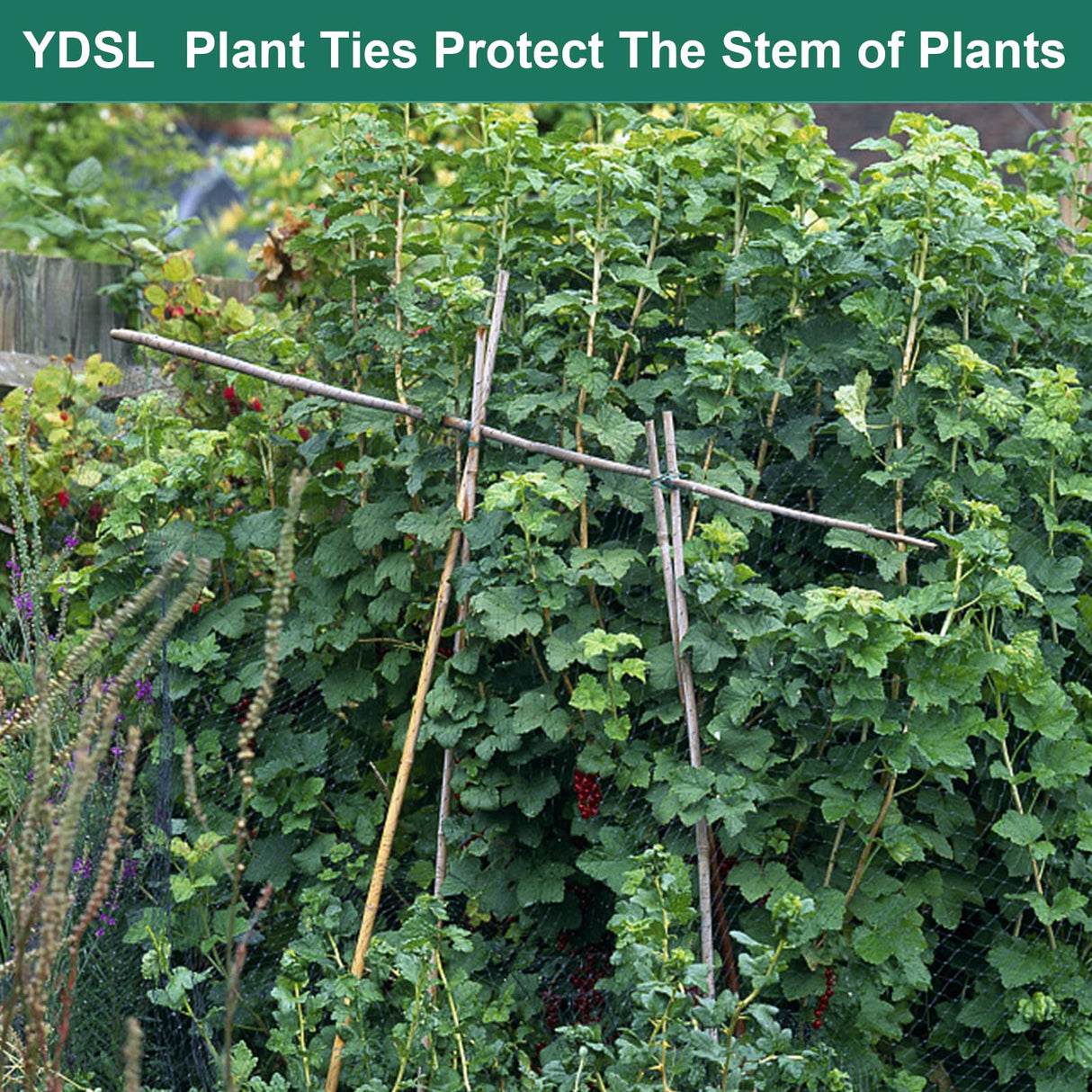 YDSL 88 feet Garden Flexible Wire, 3Pcs Soft Twist Plant Ties for Plant Vines and Office Organization (Diameter - 3MM)