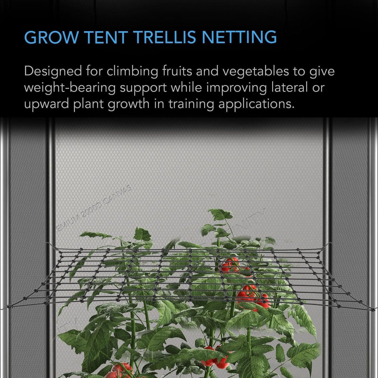 AC Infinity Grow Tent Trellis Netting 150x150cm, Heavy-Duty Elastic Plant