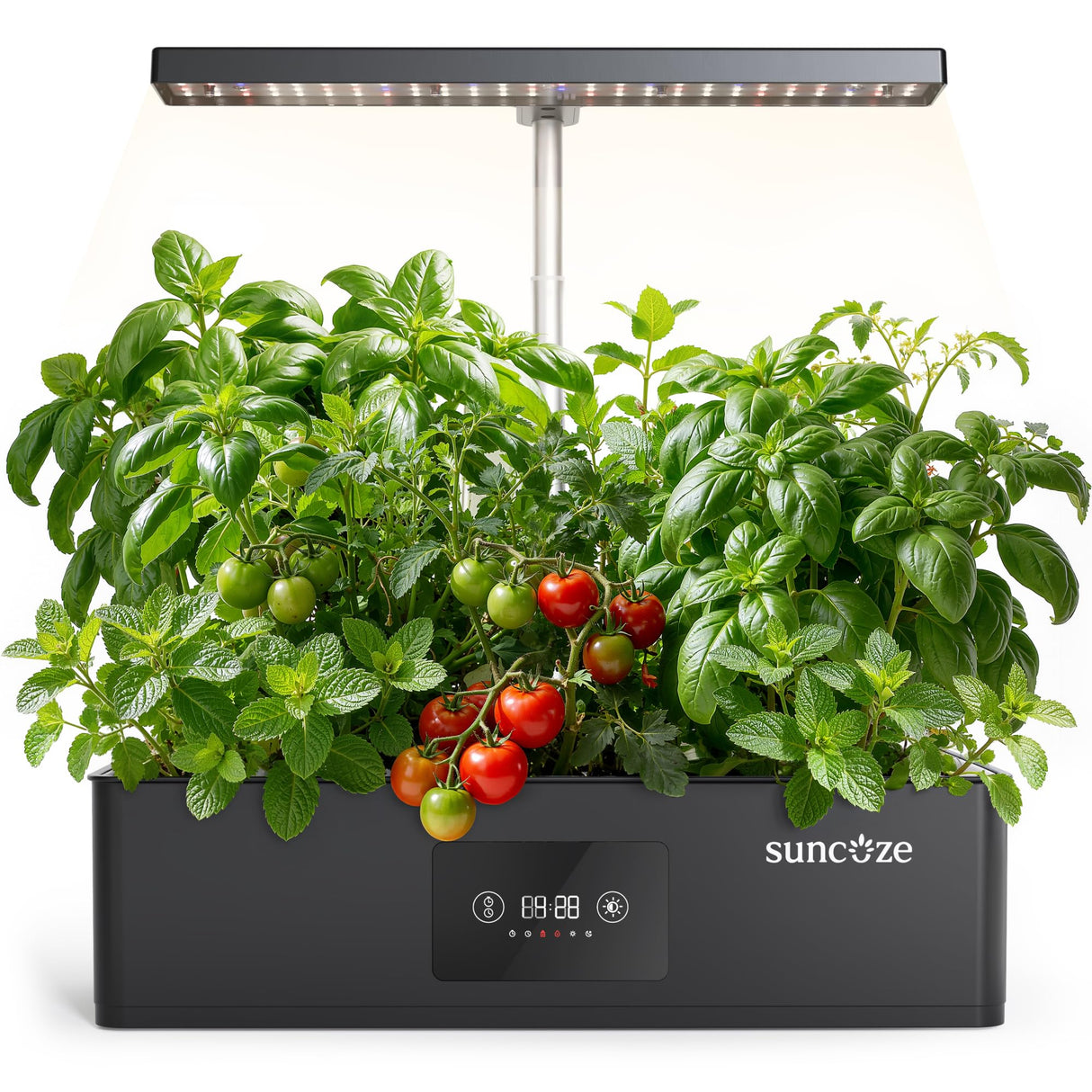 SUNCOZE Hydroponics Growing System Kit with 24W Dimmable LED Light, Black
