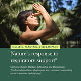 Gaia Herbs Mighty Lungs - Lung Support Supplement to Help Maintain Overall Lung & Respiratory Health* - With Mullein, Plantain, Schisandra & Elecampane - 60 Vegan Liquid Phyto-Capsules (30-Day Supply)