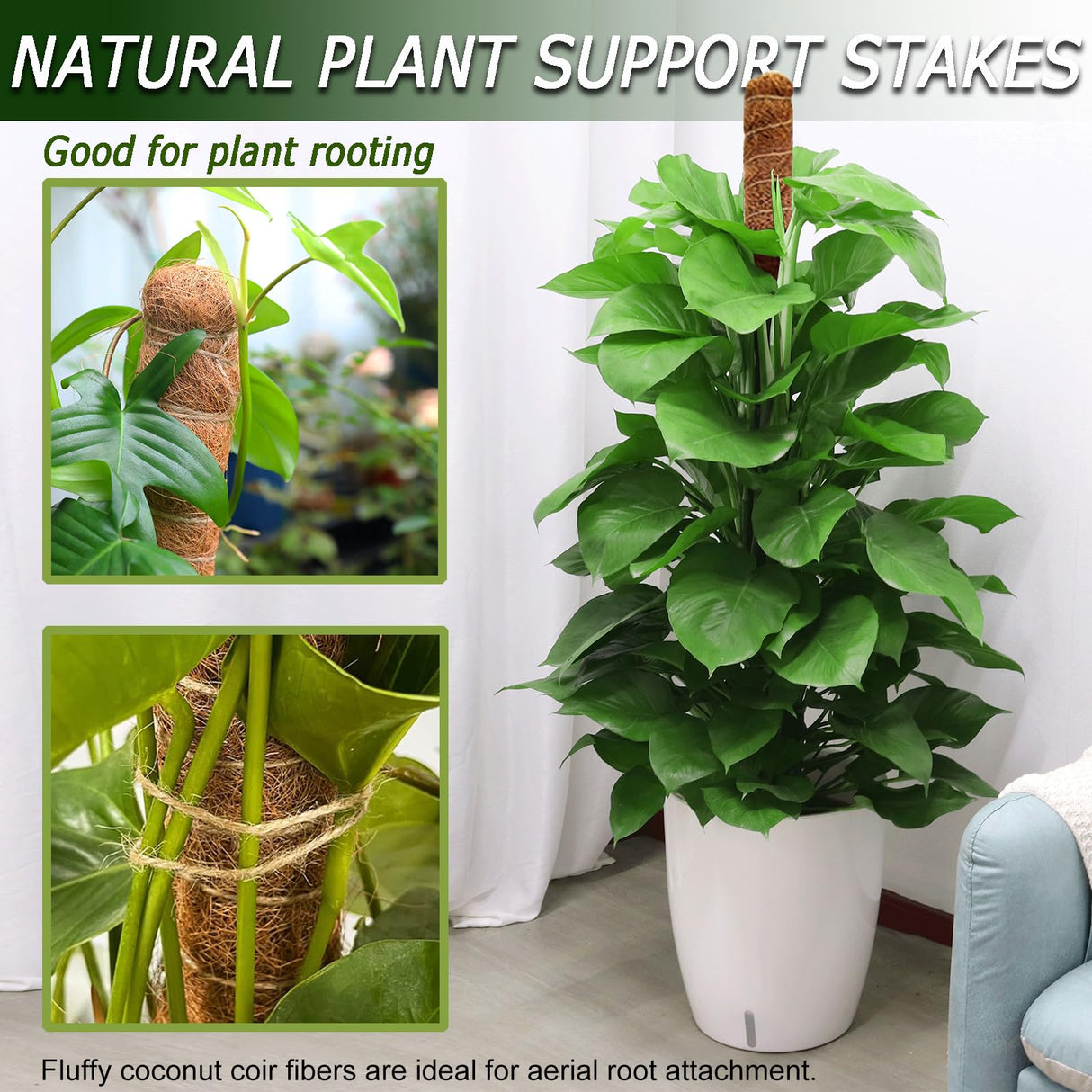 Soupiar 2 Pack 60'' Bendable Moss Pole for Monstera & Pothos - Tall Handmade Coco Coir Plant Support Stakes for Large Climbing Indoor Plants, Potted Houseplant Trellis Accessories