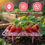 12 Pcs Garden Strawberry Supports Racks Strawberry Stand for Garden