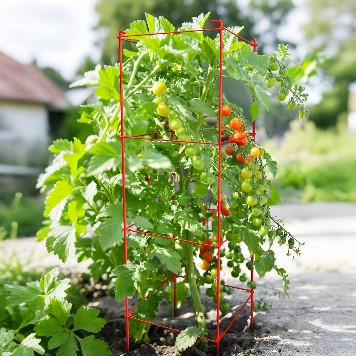Thealyn Tomato Cages 6 Packs 46 Inch (H) Plant Stand with 164 Ft Twist Ties