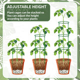 Moiggonoy 36 Pack Plant Support Stakes Sets - Versatile Plant Cages, Stackable Garden Flower Support， Small Plant Stakes for Indoor Plants,Tomato,Monstera, Peony, Hydrangea, Climbing Plants