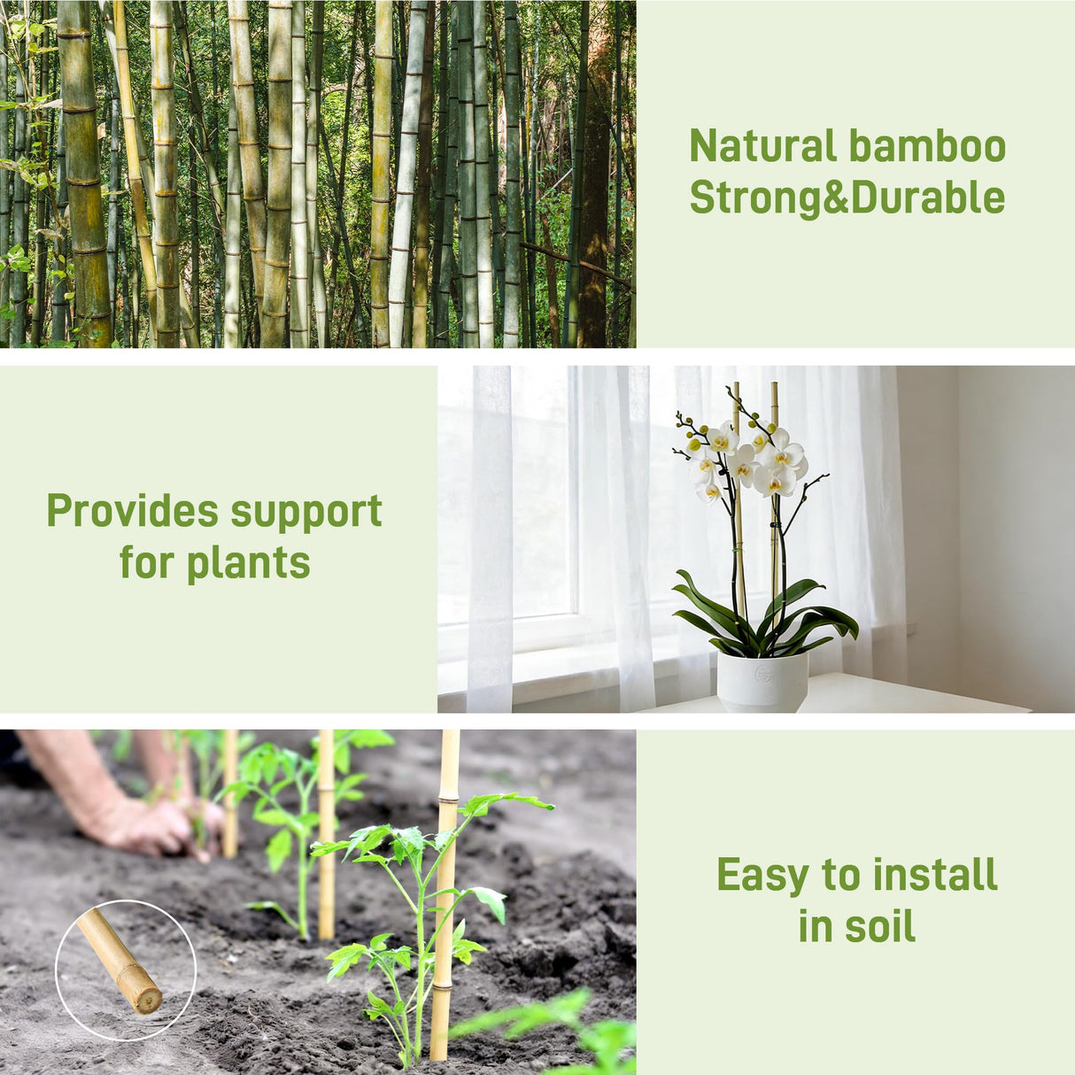 0.32”-0.4"/ 4 Feet Garden Stakes, Natural Bamboo Sticks Plant Stakes for Indoor and Outdoor Plants，Poles for Tomatoes, Beans, Potted Plants(50Pcs)