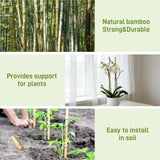 0.32”-0.4"/ 4 Feet Garden Stakes, Natural Bamboo Sticks Plant Stakes for Indoor and Outdoor Plants，Poles for Tomatoes, Beans, Potted Plants(50Pcs)