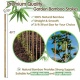 Bamboo Stakes,4FT Natural Bamboo Garden Stakes,BOVITRO 25Pcs Plant Stakes