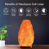 WBM LLC Himalayan Glow Natural Pink Salt Lamp, Crystal Salt Lamp Night Light with (ETL Certified) Brightness Control Dimmer Switch, Wooden Base & Salt Lamps Bulb | 6-8 LBS, Model Number: 1001