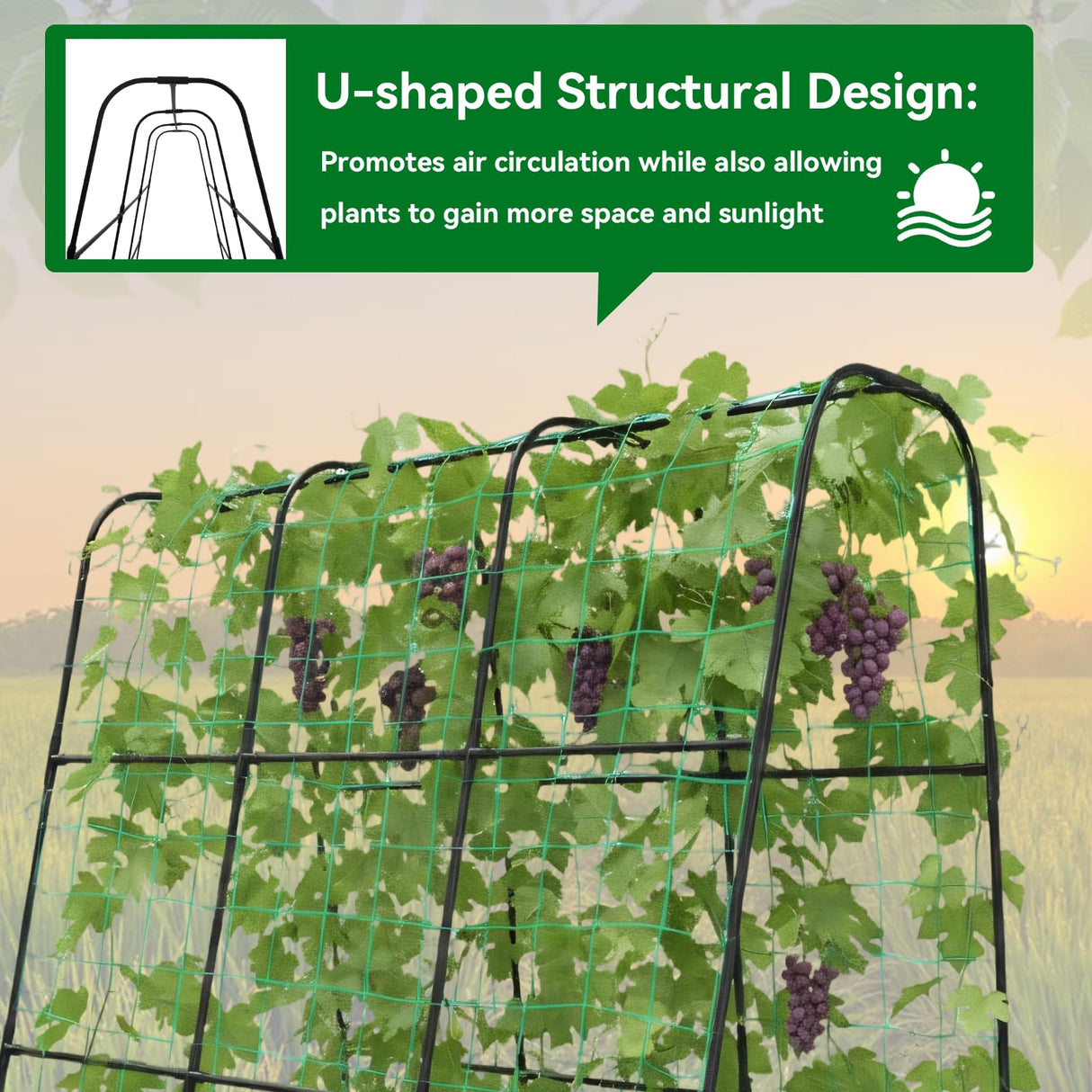 Trellume Cucumber Trellis - 62.4"*50" Cucumber Trellis for Raised Bed with Plastic-Coated Steel Pipe, U-Shape Garden Trellis for Climbing Plants, Garden Trellis for Cucumbers, Beans(Black)