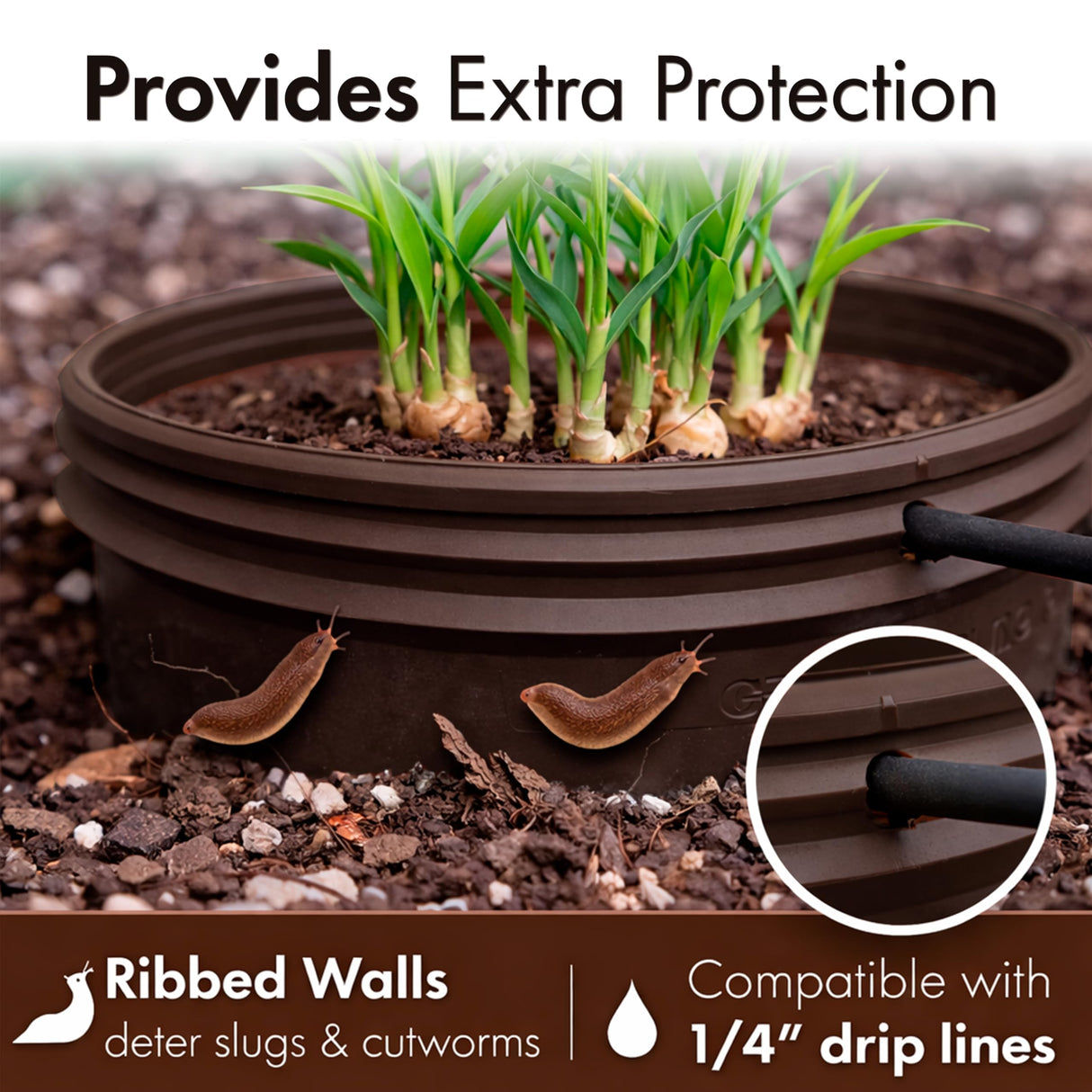 7 inch Solid Planting Grow Rings | 6 Pack Earth Brown | One-Piece Design for Deep Root Watering Veggies, Herbs & Flowers | Mulch & Soil Barrier | Deter Slugs and Cutworms | Heavy Duty | Made in USA