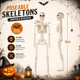 Toolterritary 36" Halloween Skeleton, 3 ft Human Skeleton Full Body Posable Joints Plastic Skeleton for Halloween Decoration, Yard Patio Lawn Garden Skeleton Spooky Party Decoration Indoor Outdoor