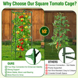 Fabulas Tomato Cage, Square Tomato Trellis Plant Support Stake Cages for Garden and Pots Tall Up to 63 Inch Adjustable Cucumber Trellis for Raised Bed Outdoor Climbing Plants Vegetables Flower, 3 Pack