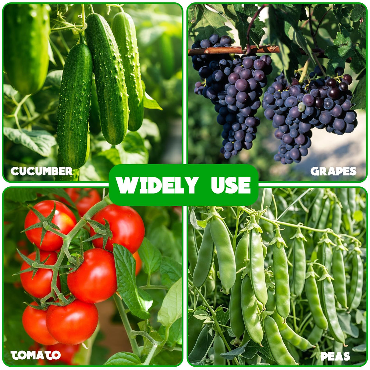 No Assembly Required Cucumber Trellis,2 Pack Trellis for Cucumbers,Outdoor Raised Bed Climbing Plant Support,A-Frame Garden Frame,Used for Vegetables,peas,Tomatoes,Squash,Melon and Fruit Frame