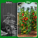 SHCCPPJ 3 Pack Tomato Cages, 42 Inch Heavy Duty Metal Square Tomato Cage for Raised Garden Bed, Rust-Proof Sturdy Tall Tomato Trellis Supports for Climbing Plants Outdoor with Clips Wire