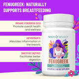 Mama's Select Organic Fenugreek Capsules – Natural Herbal Lactation Supplement to Boost Milk Supply, Vegan Digestive Health Aid, Allergen-Free & Non-GMO, USA-Made for Breastfeeding Moms