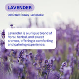 ATTITUDE Liquid Laundry Detergent, EWG Verified, HE Compatible, Plant-Based & Vegan, Natural Laundry Soap, Lavender Scent, 40 Loads, 67.6 Fl Oz