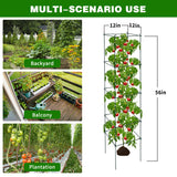 LAKNUAL 6 Packs Tomato Cages for Garden, 12"×12"×56" Plant Support Cage with Different Spacing, Green Metal Trellis for Climbing Plants Like Cucumber, Flowers