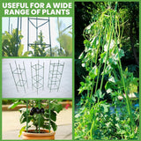 6 Pack Tomato Cage for Garden, 48 Inches Metal Garden Stakes, Plant Support Cages Trellis for Garden and Pots, Tomato Trellis for Potted Plants, Trellis for Climbing Plants Outdoor,Green