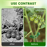 Plant Support Clips, 2026 New Garden Secured Plastic Plant Clips for Climbing Plants, Plastic Trellis Clips Tomato Grape Vine Vegetables Plant Fixing (100, White)