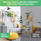 DEGNJU A19 LED Light Bulbs, 60 Watt Equivalent LED Bulbs, Soft White 2700K, 800 Lumens, E26 Standard Base, Non-Dimmable, 8W Warm White LED Bulbs for Bedroom Living Room, 12 Pack