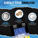 Animal Creatine Chews Tablets - Enhanced Creatine Monohydrate with AstraGin to Improve Absorption, Sea Salt for Added Pumps, Delicious and Convenient Chewable Tablets - Lemon Ice