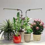 WeeLeeGoo LED Grow Light 2 Pack, 6000K White Full Spectrum 144 LED Gooseneck Growing Lamp for Indoor Plants Growth,4 8 12 18Hrs Timer & Brightness Changeable,Insert Pole Extendable 4-10''