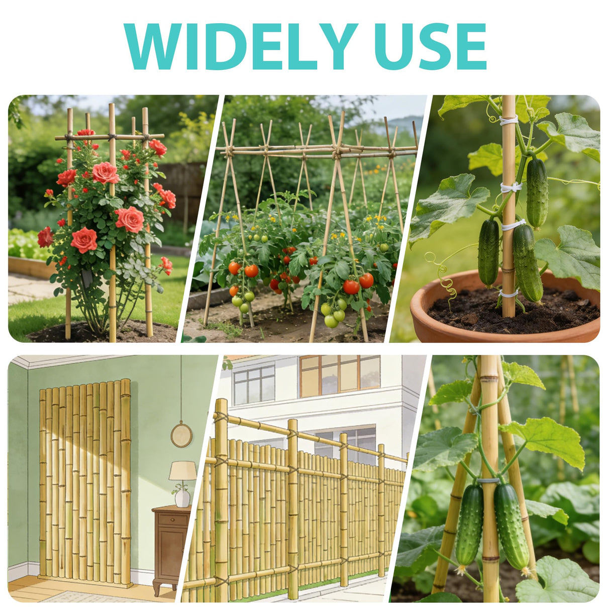 Latuxe Bamboo Stakes 6FT, 20pcs Garden Stakes 72in Specifically Designed for Climbing Plants, Ideal for Tomatoes, Beans, Cucumbers, Peppers, Vines, and More Plant Growth