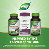 Nature's Way Forskohlii Standardized to Forskolin, Supports Healthy Body Composition*, 60 Vegan Capsules