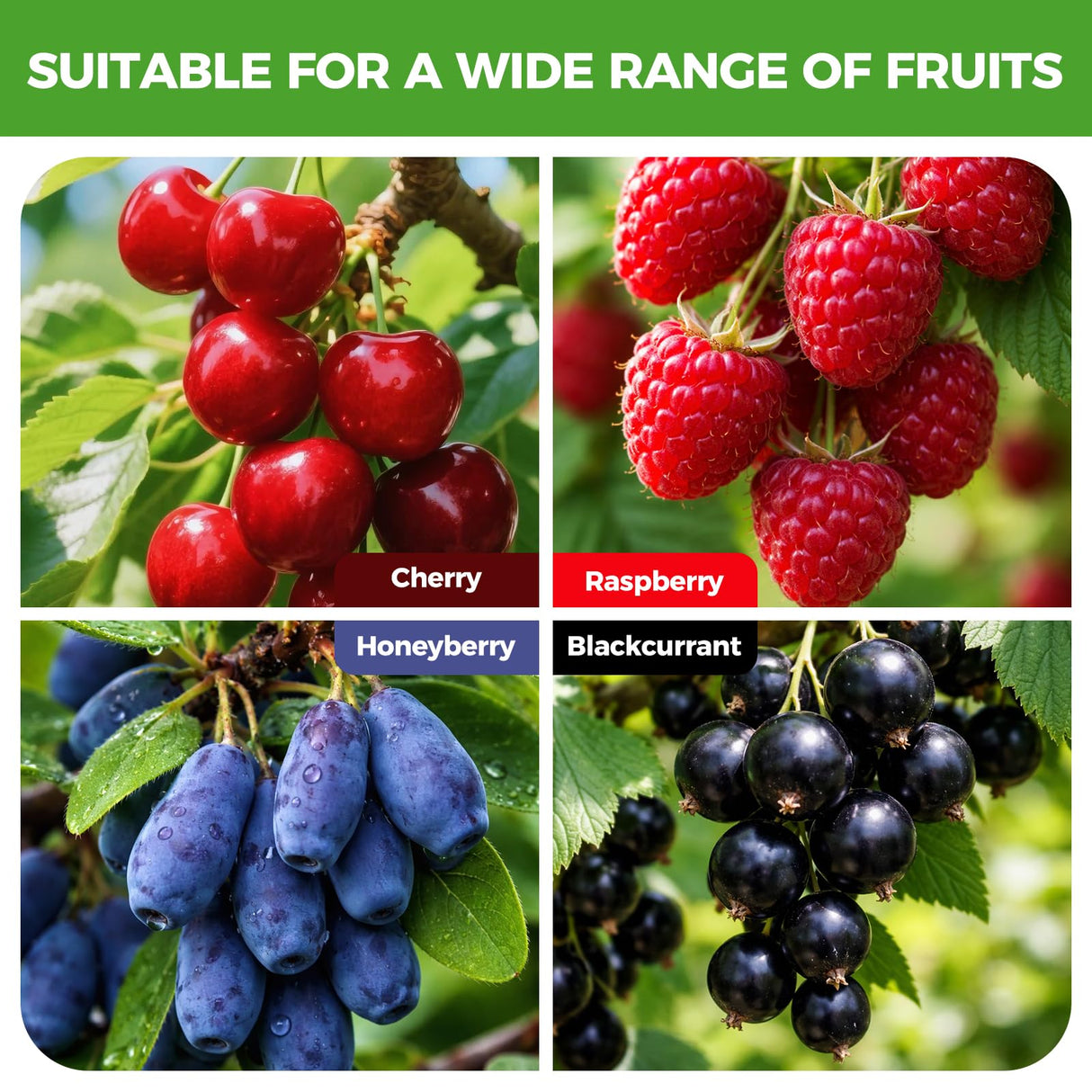 Blueberry Bush Netting Cover 2 Pack 4.5 x 4.5 ft, Bird Netting with Zipper & Drawstring, Reusable Berry Bush Netting for Blueberries & Garden Plants, Bird Deer Insect and Poultry Barrier