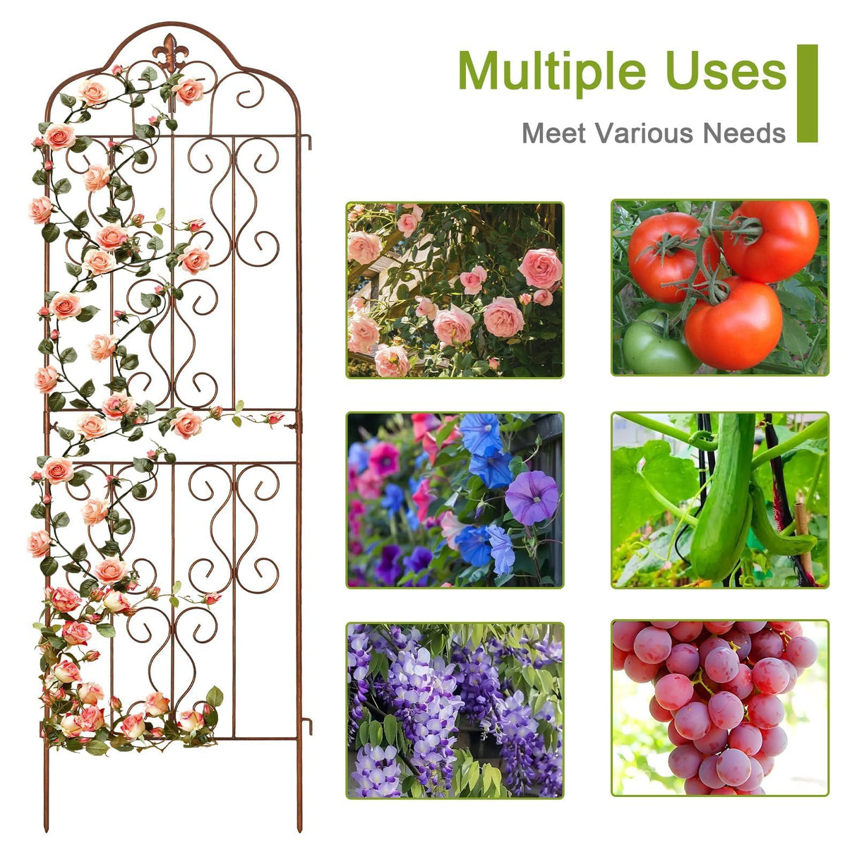 hogardeck 4 Packs 60 * 18 inch Metal Garden Trellis for Climbing Plants Outdoor,Heavy Duty,Gold Coating Rustproof Trellis for Rose, Vegetable, Flowers, Expandable,Perfect for Training Climbing Plants
