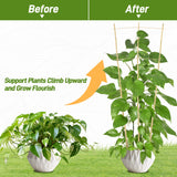 Avalution 10 Pack Bamboo Trellis for Climbing Plants, 4 FT Garden Ladder Trellis for Potted Plants Indoor, Fan-Shaped Small Plant Support Trellis for Houseplants Ivy Hoya Vine Monstera