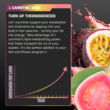 Nutrex Research Liquid Carnitine 3000 | Premium Liquid Carnitine, Stimulant Free (Passionfruit Guava)