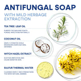 Hermon Antifungal Soap with Tea Tree Oil: Antifungal Bar Soothing Care & Relief of Itchy for Ringworm Jock Itch Tinea Versicolor Athletes Foot - Body & Face Wash