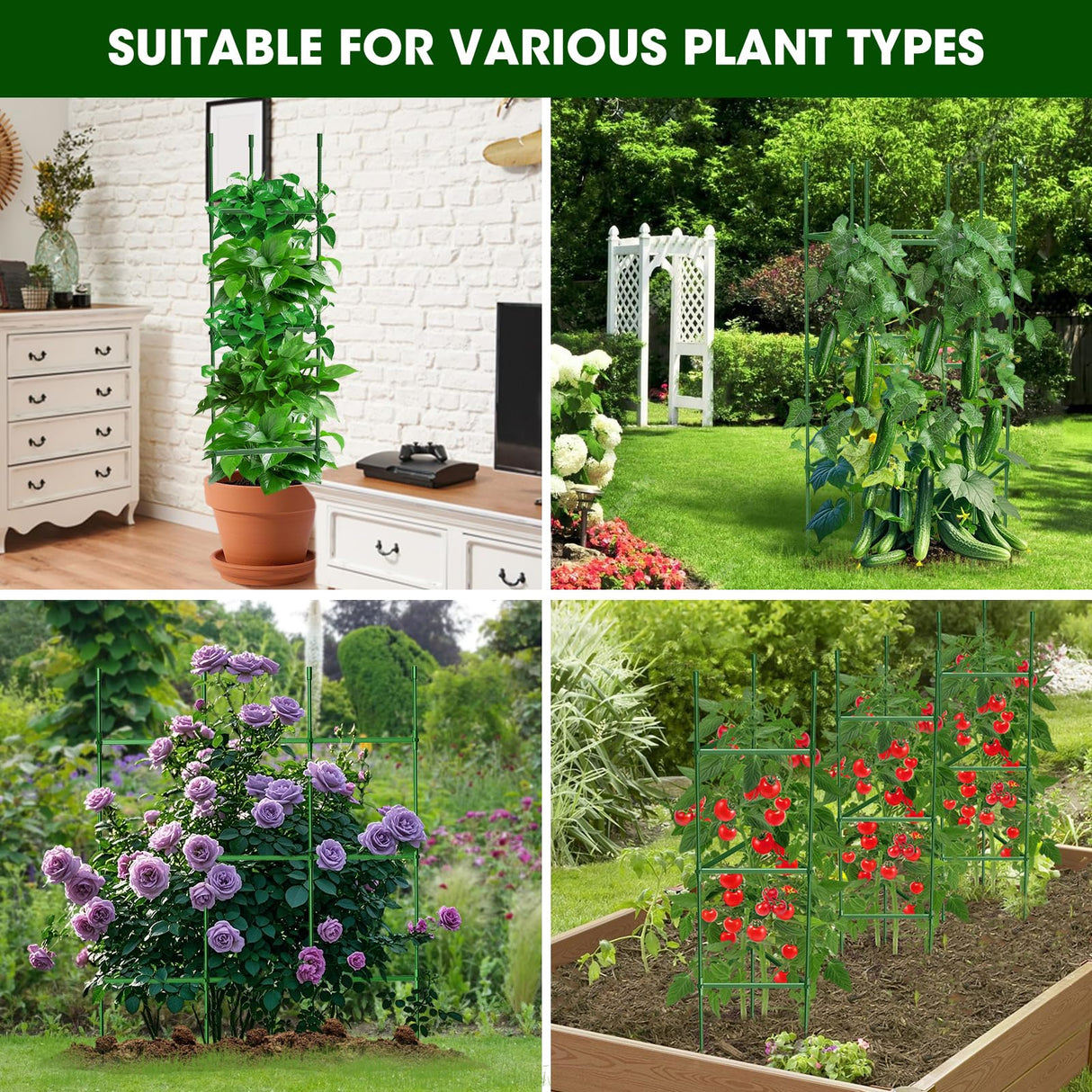 MQHUAYU 3 Pack Tomato Cages for Garden,Up to 51.2Inch Tomato Cage Trellis-Upgraded Hexagon Connector,Heavy Duty Adjustable Tomato Stake Support for Raised Garden Bed