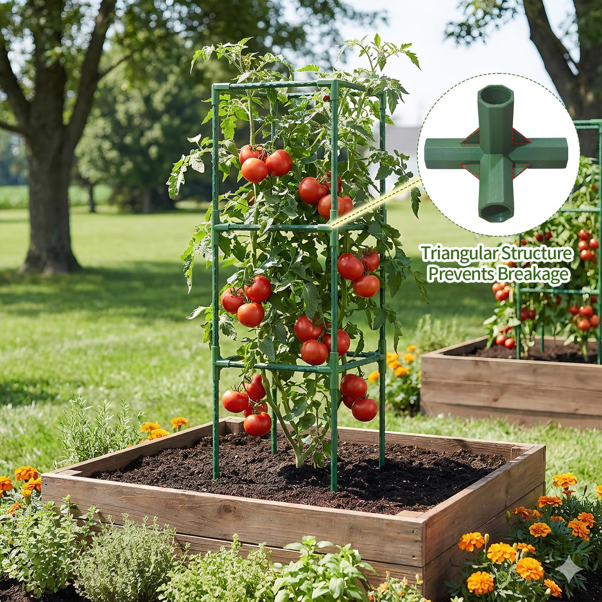 6 Pack 43.3 Inch Adjustable Tomato Cages Garden Plant Trellis