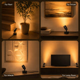LED Spotlights Indoor, 5W Plants Uplighting with Remote Control Dimmable & Timer, Uplights Indoor Floor Spot Lights for Painting, Picture, Artwork, Accent Stick on Wall Light with 5.9 FT Plug Cord