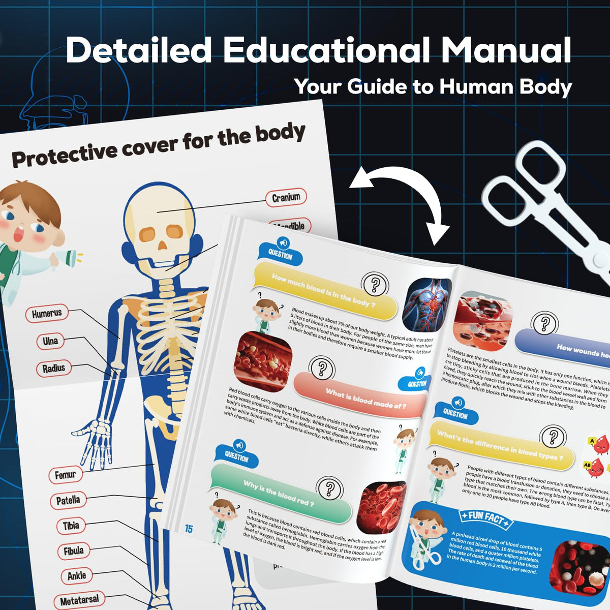 GobiDex Human Body Skeleton Model Kit, Glow in The Dark Science Kit for Kid