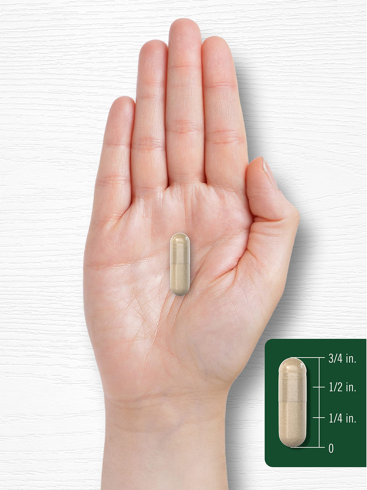 Carlyle Prickly Pear 1950 mg | 180 Capsules | Nopal Cactus Supplement | Non-GMO, Gluten Free