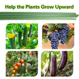 Sprigra Plant Stakes 57 inch, Approx 5ft Steel Garden Stakes 25 Pack, Sturdy Plant Support for Climbing Plants, Tomatoes, Beans, Cucumbers, Peppers, Flowers, Strengthen and Stem Grow Better