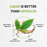 Red Clover Herb USDA Organic Tincture | Alcohol-FREE Extract, High-Potency Herbal Drops| Made from 100% Certified Organic Red Clover Herb (Trifolium Pratense) Dried Leaf and Flower 4 oz