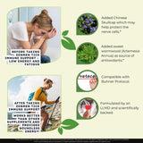 Zenmen Tick Immune Support Supplement - Improved Formula - Japanese Knotweed, Cat's Claw, Chinese Skullcap, Cryptolepis Sanguinolenta, Sweet Wormwood - 90 Vegan Capsules, Made in The USA