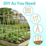 Latuxe Bamboo Stakes 6FT, 20pcs Garden Stakes 72in Specifically Designed for Climbing Plants, Ideal for Tomatoes, Beans, Cucumbers, Peppers, Vines, and More Plant Growth