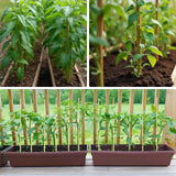 Vesyman 100 PCS 3FT Bamboo Plant Stakes, 6.3mm Thick Bamboo Stakes