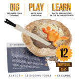 Dig a Dozen Dino Egg Kit for Kids - 12 Eggs & Surprise Dinosaurs