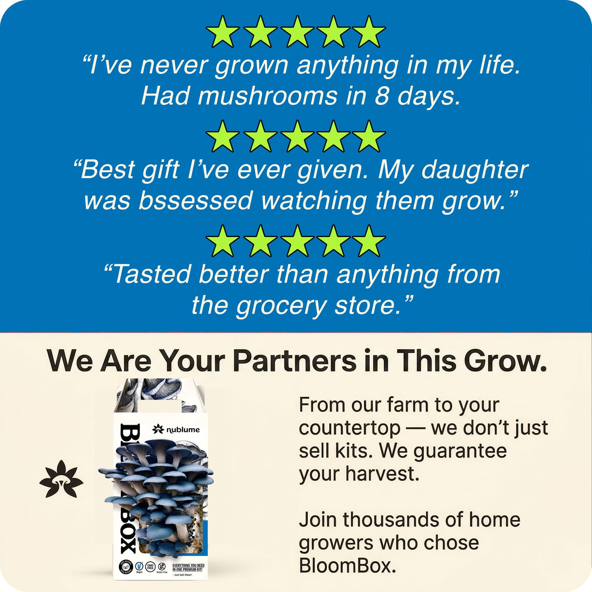 BloomBox Blue Oyster Mushroom Grow Kit – Spray & Grow – Pre-Inoculated Indoor Mushroom Farm – Beginner Friendly – Harvest Fresh Gourmet Mushrooms in Days – Perfect Gift